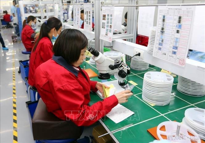 Lao động khuyết tật làm việc trong dây chuyền sản xuất cùng với những công nhân bình thường khác tại Công ty TNHH Điện tử Chilisin Việt Nam. Ảnh: Danh Lam - TTXVN