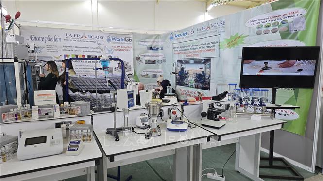 Hàng hóa vào Algeria phải qua quy trình kiểm định chất lượng chặt chẽ. Ảnh: Nguyễn An - PV TTXVN tại Algeria