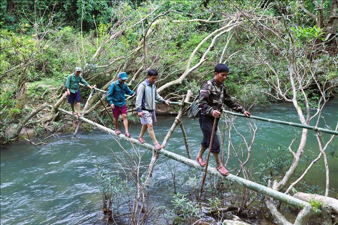 Tổ quản lý, bảo vệ rừng cộng đồng bản Na Cọ (xã Bình Chuẩn, tỉnh Nghệ An) vượt dòng Khe Cố vào vùng lõi đại ngàn Pù Huống trong hành trình kiểm tra rừng tại gốc. Ảnh: Xuân Tiến - TTXVN  