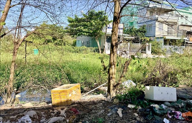 Nhiều ao nước tồn động, nước chuyển sang màu đen kịt, rác vứt la liệt trên rạch Cái Sơn gây mùi hôi khó chịu. Ảnh: Thanh Sang-TTXVN