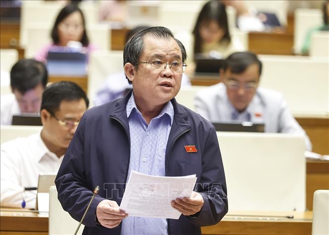 Đại biểu Quốc hội TP Hồ Chí Minh Nguyễn Tâm Hùng phát biểu. Ảnh: Doãn Tấn - TTXVN