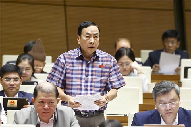 Đại biểu Quốc hội tỉnh Đồng Tháp Phạm Văn Hòa phát biểu. Ảnh: Doãn Tấn - TTXVN