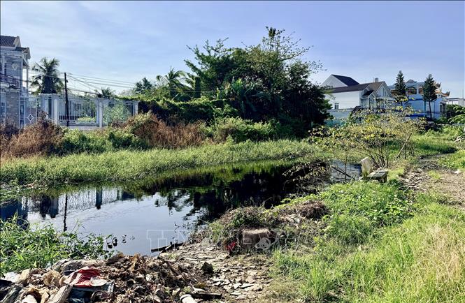 Ao nước tù chuyển sang màu đen kịt trên rạch Bà Bầu, gây mùi hôi khó chịu cho người dân sống ven rạch. Ảnh: Thanh Sang-TTXVN