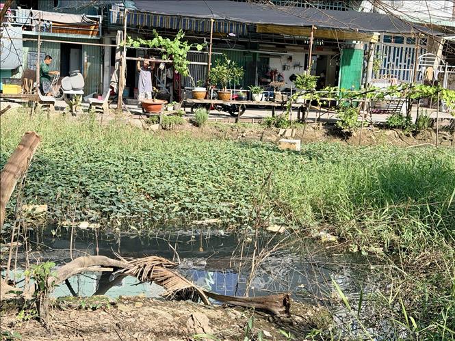 Nhiều ao nước tồn động, chuyển sang màu đen kịt trên rạch Cái Sơn, gây mùi hôi khó chịu. Ảnh: Thanh Sang-TTXVN
