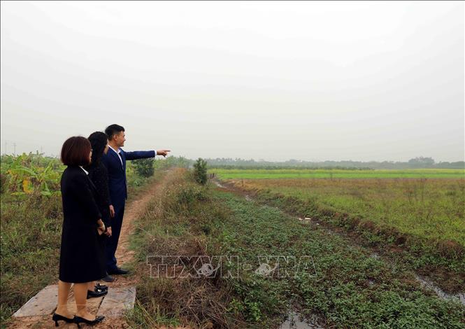 Khu vực thực địa của Công ty TNHH thương mại và công nghệ Ngôi Sao Việt được cấp quyền sử dụng đất, quyền sở hữu tài sản gắn liền với đất. Ảnh: Nguyễn Công Hải - TTXVN
