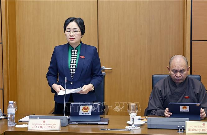 Đại biểu Quốc hội tỉnh Điện Biên Lò Thị Luyến phát biểu. Ảnh: Doãn Tấn - TTXVN