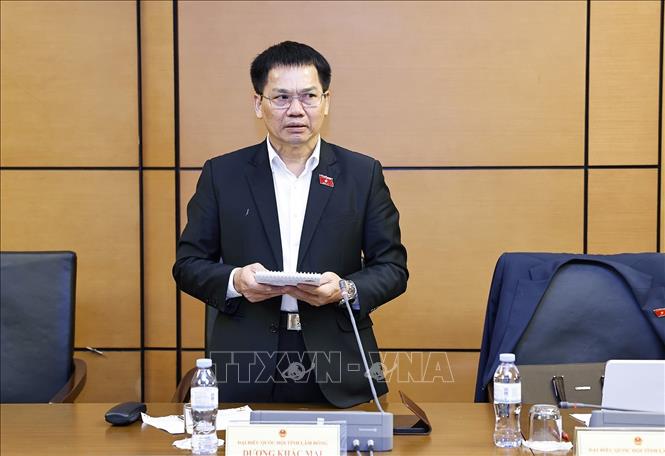 Đại biểu Quốc hội tỉnh Lâm Đồng Dương Khắc Mai phát biểu. Ảnh: Doãn Tấn - TTXVN