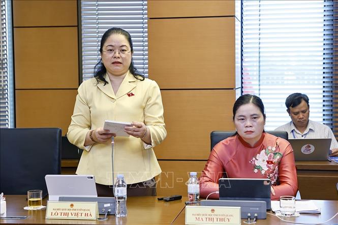 Đại biểu Quốc hội tỉnh Tuyên Quang Lò Thị Việt Hà phát biểu. Ảnh: Doãn Tấn - TTXVN