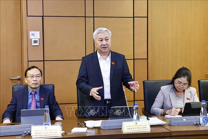 Đại biểu Quốc hội tỉnh Bắc Ninh Trần Văn Lâm phát biểu. Ảnh: Doãn Tấn - TTXVN