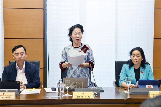 Đại biểu Quốc hội TP Cần Thơ Tô Ái Vang phát biểu. Ảnh: Doãn Tấn - TTXVN