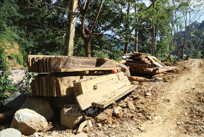 Những đống gỗ là thưng, ván, cột, xà của những ngôi nhà bị lũ ống, lũ quét cuốn trôi người dân vớt lại được ngoài suối rồi gom lại, xếp dọc hai bên đường trong bản Phá Mựt (xã Nhôn Mai, tỉnh Nghệ An). Ảnh: Xuân Tiến - TTXVN 
