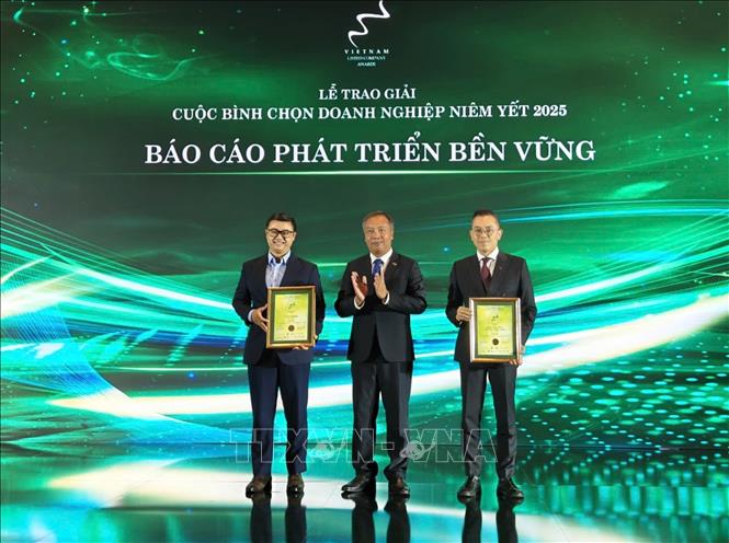 Các doanh nghiệp được vinh danh ở hạng mục Báo cáo phát triển bền vững. Ảnh: Hứa Chung-TTXVN
