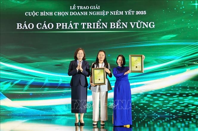 Các doanh nghiệp được vinh danh ở hạng mục Báo cáo phát triển bền vững. Ảnh: Hứa Chung-TTXVN