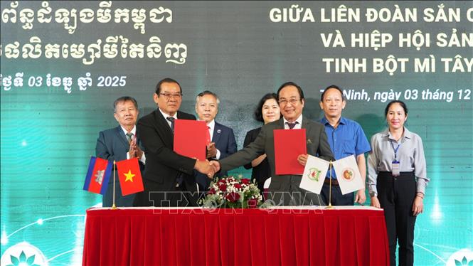 Lễ ký kết Biên bản ghi nhớ (MoU) giữa Liên đoàn sắn Campuchia và Hiệp hội Sản xuất tinh bột mì Tây Ninh. Ảnh: Minh Phú – TTXVN