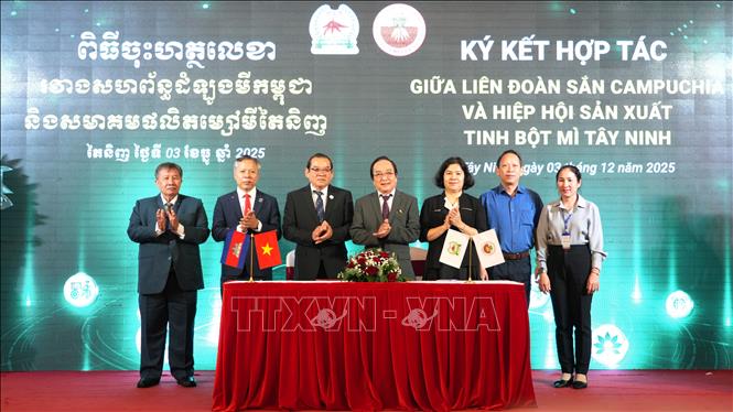 Biên bản ghi nhớ (MoU) giữa Liên đoàn sắn Campuchia và Hiệp hội sản xuất tinh bột mì Tây Ninh trên tinh thần “cùng thắng”. Ảnh: Minh Phú - TTXVN