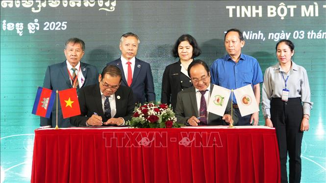 Liên đoàn sắn Campuchia và Hiệp hội sản xuất tinh bột mì Tây Ninh thực hiện ký kết biên bản ghi nhớ (MoU). Ảnh: Minh Phú – TTXVN