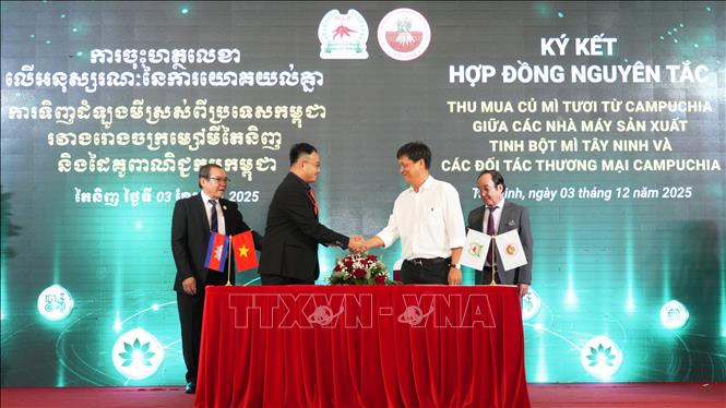 Các doanh nghiệp sản xuất tinh bột sắn tỉnh Tây Ninh và các đối tác thương mại tại Campuchia thực hiện ký kết Hợp đồng Nguyên tắc thu mua củ sắn tươi từ Campuchia. Ảnh: Minh Phú - TTXVN