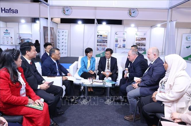 The Vietnamese delegation has a working session with the Standards and Metrology Institute for Islamic Countries (SMIIC). VNA/Photo by courtesy