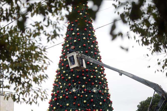 Trang hoàng cây thông Giáng sinh tại quảng trường Manger ở Bethlehem, Bờ Tây, ngày 25/11/2025. Ảnh: THX/TTXVN