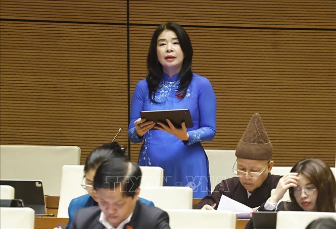 NA deputy Le Thu Ha from the northern province of Lao Cai speaks at the session. VNA Photo: Doãn Tấn