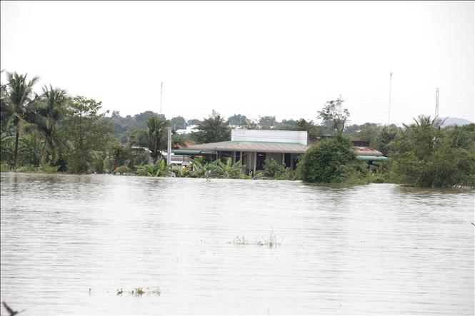 Hàng trăm hộ dân tại xã Hàm Thuận (Lâm Đồng) bị ngập sâu trong nước lũ. Ảnh: Nguyễn Thanh - TTXVN