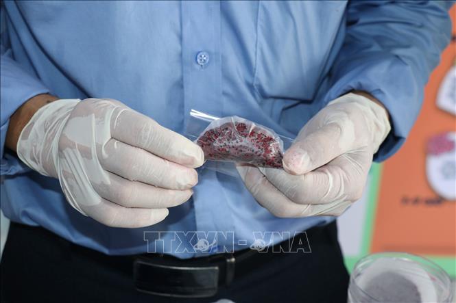 Sản phẩm  kẹo dinh dưỡng từ hạt thanh long tại Hợp tác xã Thiên Phúc. Ảnh: Hữu Chí - TTXVN