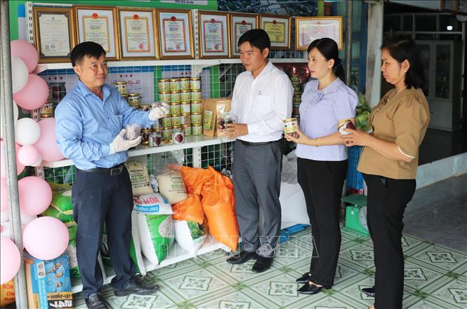 Anh Phúc giới thiệu sản phẩm kẹo dinh dưỡng từ hạt thanh long có nhiều tác dụng hỗ trợ sức khỏe. Ảnh: Hữu Chí - TTXVN