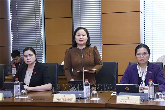 Đại biểu Quốc hội tỉnh Tuyên Quang Phạm Thuý Chinh phát biểu. Ảnh: Doãn Tấn - TTXVN