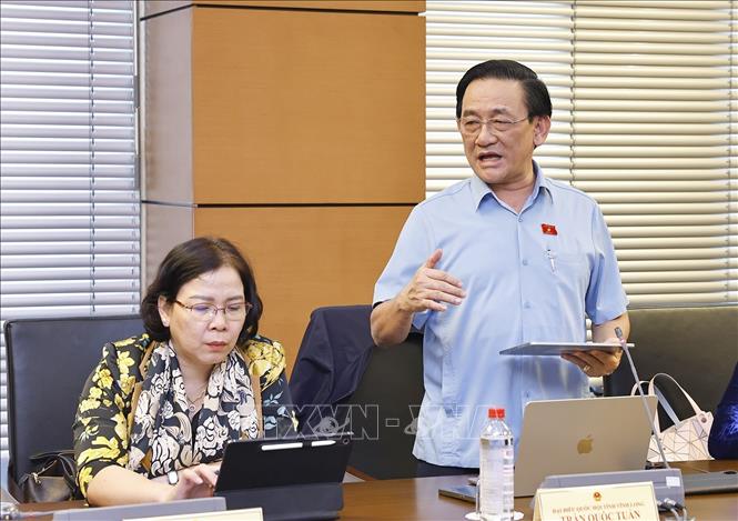 Đại biểu Quốc hội tỉnh Vĩnh Long Trần Quốc Tuấn phát biểu. Ảnh: Doãn Tấn - TTXVN