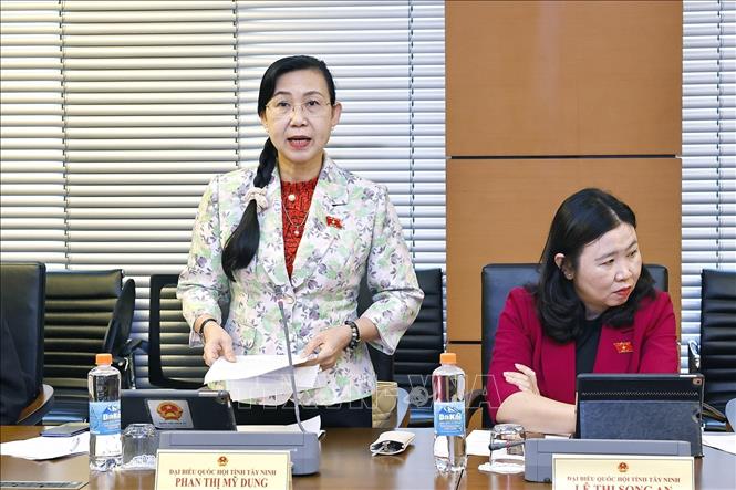 Đại biểu Quốc hội tỉnh Tây Ninh Phan Thị Mỹ Dung phát biểu. Ảnh: Doãn Tấn - TTXVN