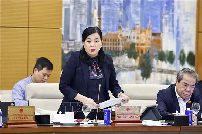 Chủ nhiệm Ủy ban Khoa học, Công nghệ và Môi trường của Quốc hội Nguyễn Thanh Hải phát biểu. Ảnh: Doãn Tấn - TTXVN