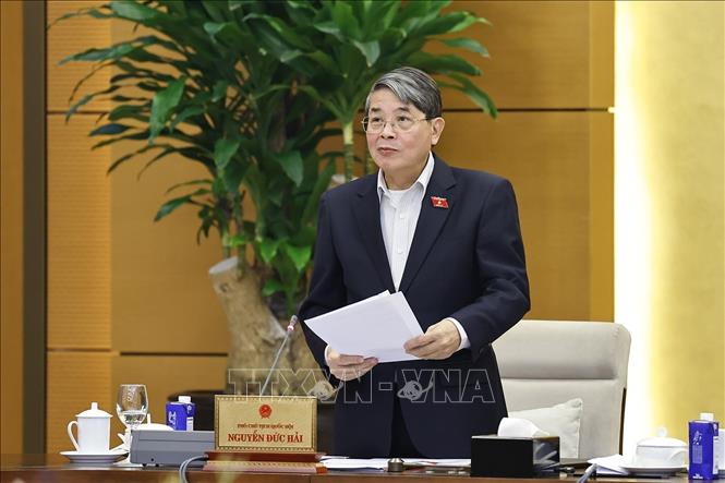 Phó Chủ tịch Quốc hội Nguyễn Đức Hải phát biểu. Ảnh: Doãn Tấn - TTXVN