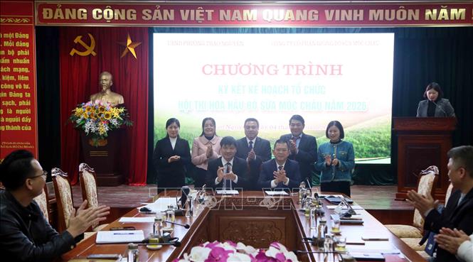 Ký kết kế hoạch tổ chức Hội thi Hoa hậu Bò sữa Mộc Châu năm 2026. Ảnh: Quang Quyết - TTXVN
