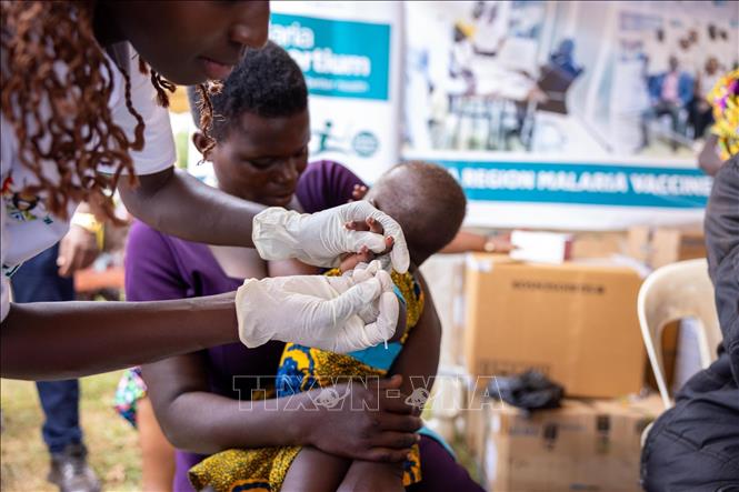 Nhân viên y tế tiêm vaccine phòng sốt rét cho em nhỏ tại Apac, Uganda. Ảnh: THX/TTXVN