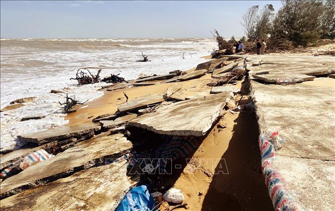 Bờ biển thôn Thanh Xuân, xã Bắc Trạch bị sóng biển xâm thực nghiêm trọng, cuốn trôi rừng phòng hộ và phá hủy các công trình nơi đây. Ảnh: Nguyên Linh-TTXVN