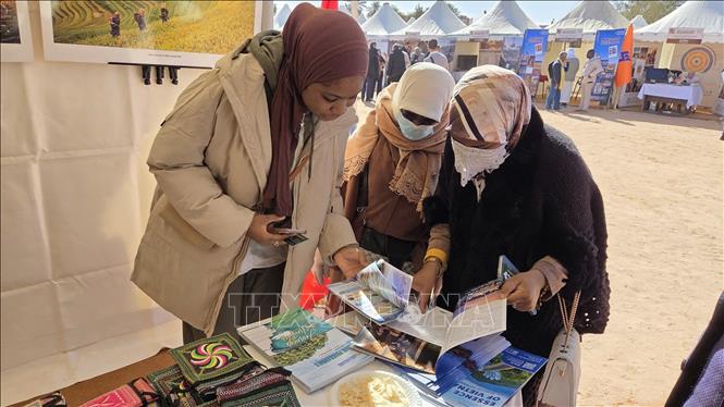 Du khách Algeria xem các ấn phẩm du lịch của Việt Nam tại lễ hội. Ảnh: Mạnh Hùng – Phóng viên TTXVN tại Algeria 