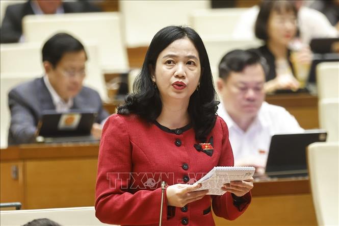 Đại biểu Quốc hội tỉnh Đồng Nai Điểu Huỳnh Sang phát biểu. Ảnh: Doãn Tấn - TTXVN