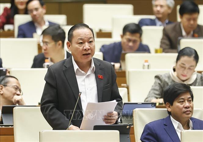 Đại biểu Quốc hội tỉnh Tuyên Quang Tráng A Dương phát biểu. Ảnh: Doãn Tấn - TTXVN