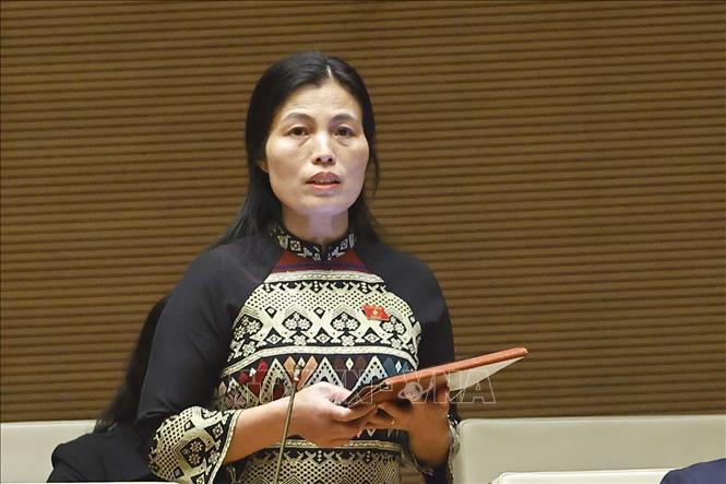 Đại biểu Quốc hội tỉnh Quảng Trị Hồ Thị Minh phát biểu. Ảnh: Doãn Tấn - TTXVN