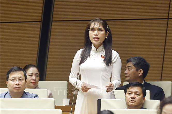 Đại biểu Quốc hội tỉnh An Giang Châu Quỳnh Dao phát biểu. Ảnh: Doãn Tấn - TTXVN