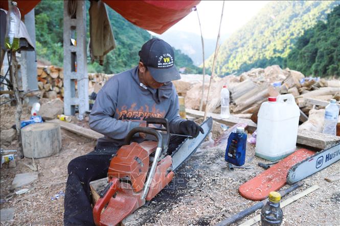 Người dân sử dụng cưa xăng để xẻ và sơ chế gỗ tại các điểm tập kết bên bờ sông Nậm Nơn. Ảnh: Xuân Tiến - TTXVN 