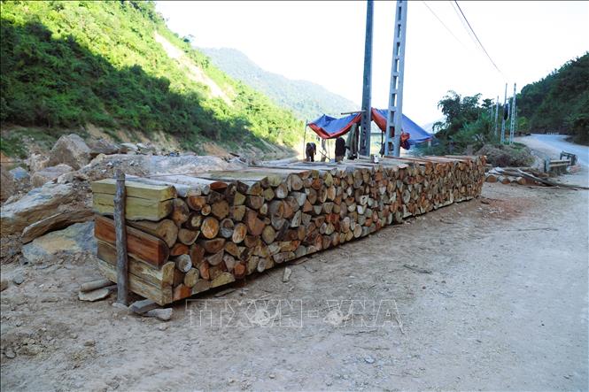 Thân gỗ tạp không thể sơ chế làm gỗ ván, cột để làm nhà được người dân cưa ngắn thành khúc, chẻ ra thành miếng bày bán dọc hai bên đường. Ảnh: Xuân Tiến - TTXVN 