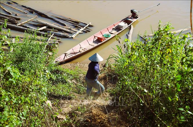 Kéo dây cáp tời trên lối mòn dốc đứng để xuống bến bãi tập kết những bè gỗ bên bờ sông Nậm Nơn. Ảnh: Xuân Tiến - TTXVN 
