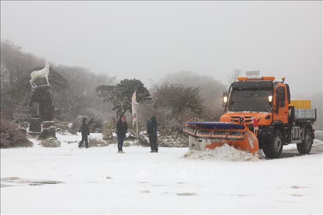 Ngày 4/12/2025, thủ đô Seoul của Hàn Quốc và các khu vực lân cận đón đợt tuyết rơi dày đầu tiên trong mùa Đông khiến chính quyền địa phương phải ban bố cảnh báo thiên tai khẩn cấp và chuẩn bị ứng phó với tình huống xảy ra gián đoạn giao thông. Cơ quan dự báo thời tiết cho biết lượng tuyết tích tụ vượt quá 5cm mỗi giờ ở Seoul và tỉnh Gyeonggi. Ảnh: Xe dọn tuyết ở đảo Jeju. Yonhap/TTXVN  