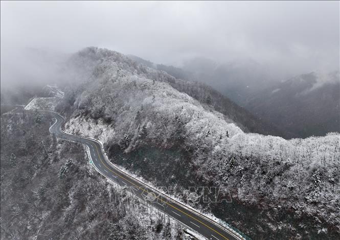 Ngày 4/12/2025, thủ đô Seoul của Hàn Quốc và các khu vực lân cận đón đợt tuyết rơi dày đầu tiên trong mùa Đông khiến chính quyền địa phương phải ban bố cảnh báo thiên tai khẩn cấp và chuẩn bị ứng phó với tình huống xảy ra gián đoạn giao thông. Cơ quan dự báo thời tiết cho biết lượng tuyết tích tụ vượt quá 5cm mỗi giờ ở Seoul và tỉnh Gyeonggi. Ảnh: Tuyết rơi dày ở Yangyang, tỉnh Gangwon. Yonhap/TTXVN  