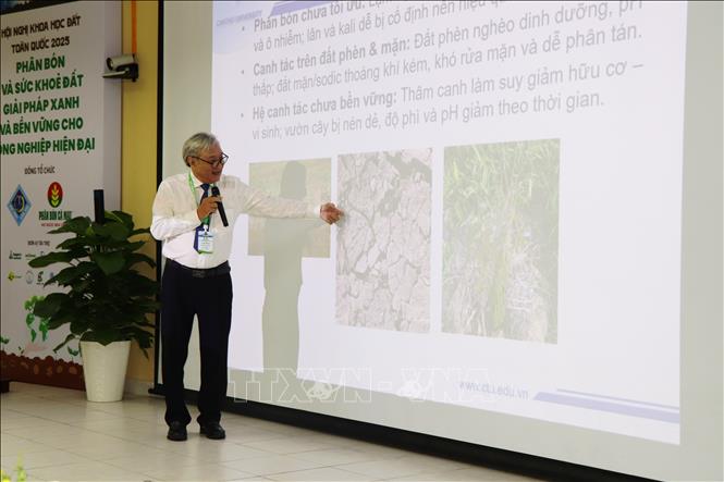 PGS.TS Trần Văn Dũng, Trưởng Khoa Khoa học đất, Trường Nông nghiệp (Đại học Cần Thơ) thông tin về thực trạng sức khỏe đất nông nghiệp ở Đồng bằng sông Cửu Long. Ảnh: Thu Hiền - TTXVN