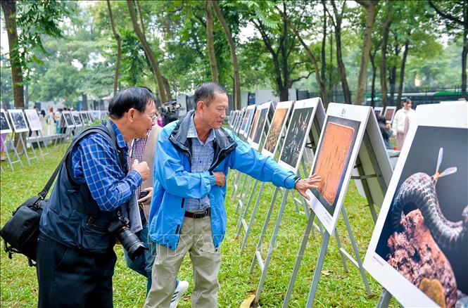 Khách tham quan triển lãm. Ảnh: TTXVN phát 