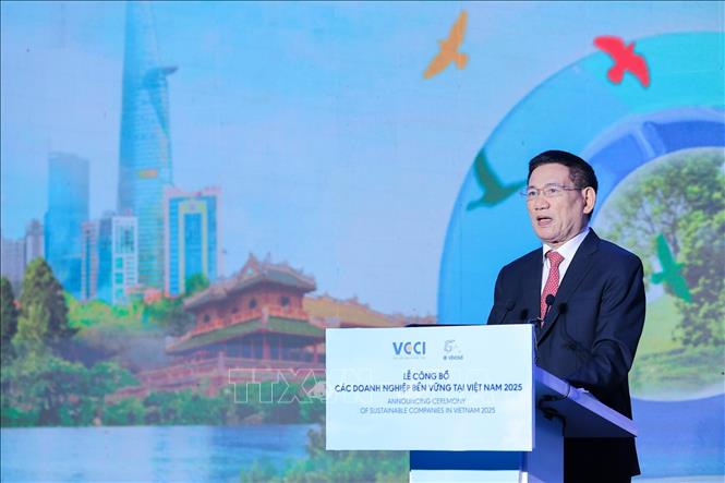 Phó Thủ tướng Chính phủ Hồ Đức Phớc phát biểu chỉ đạo. Ảnh: Lê Đông - TTXVN