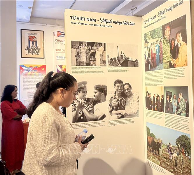 A corner of the exhibition. VNA Photo: Phương Lan 