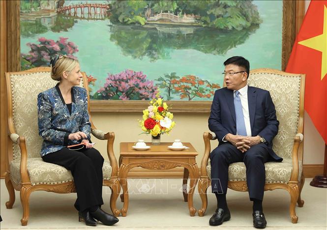 Deputy Prime Minister Le Thanh Long receives Amazon Vice President for International Public Policy & Government Affairs Susan Pointer. VNA Photo: An Đăng